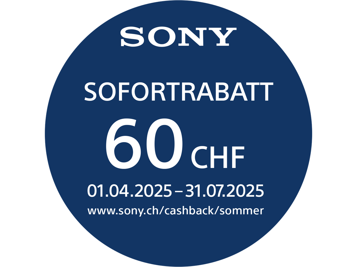 Sony Alpha 6100 A Kit 16-50 II / 55-210