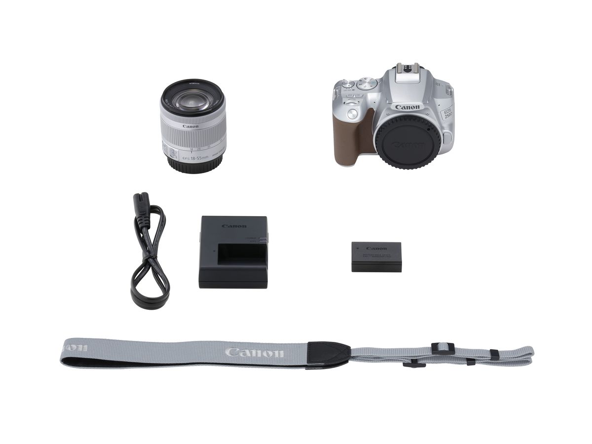 Canon EOS 250D + 18-55mm IS Argent