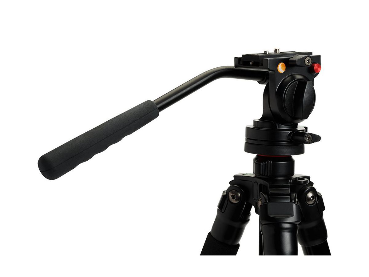 Celestron Stativ Regal Premium