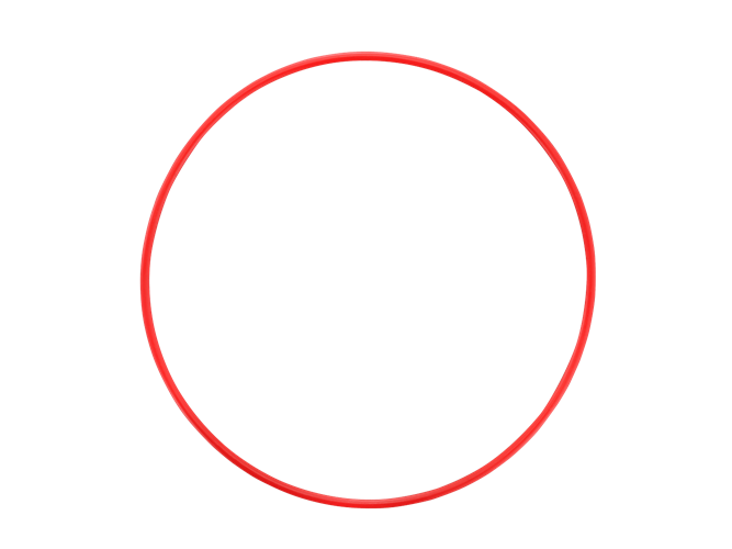 OM System POL-058 O-Ring zu PT-058