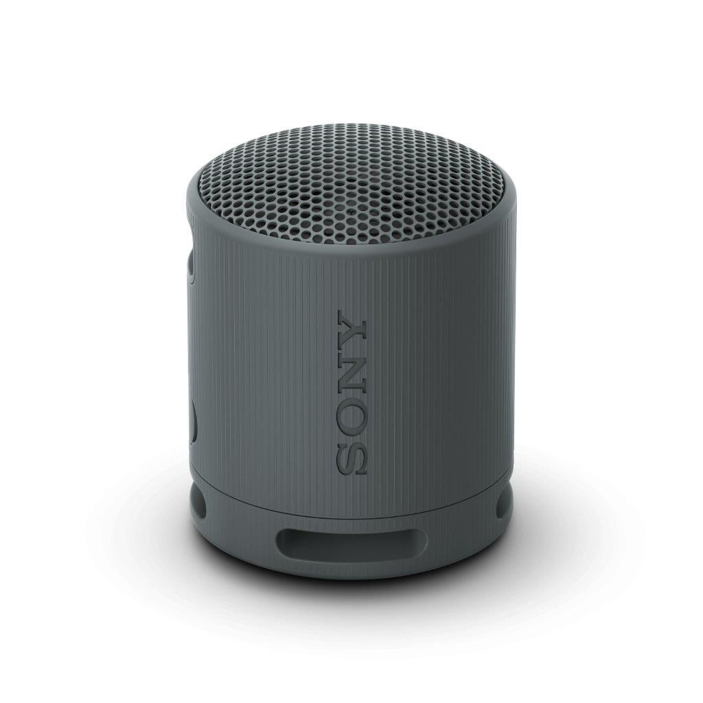 Sony SRS-XB100 Speaker Black
