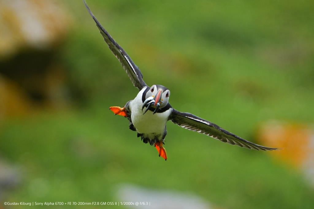 Sony Alpha 6700 Set black 16-50mm