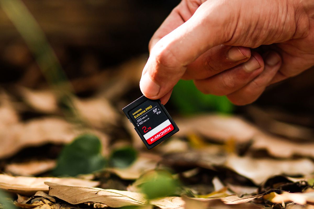 SANDISK Extreme PRO 250MB/s SDXC 512GB