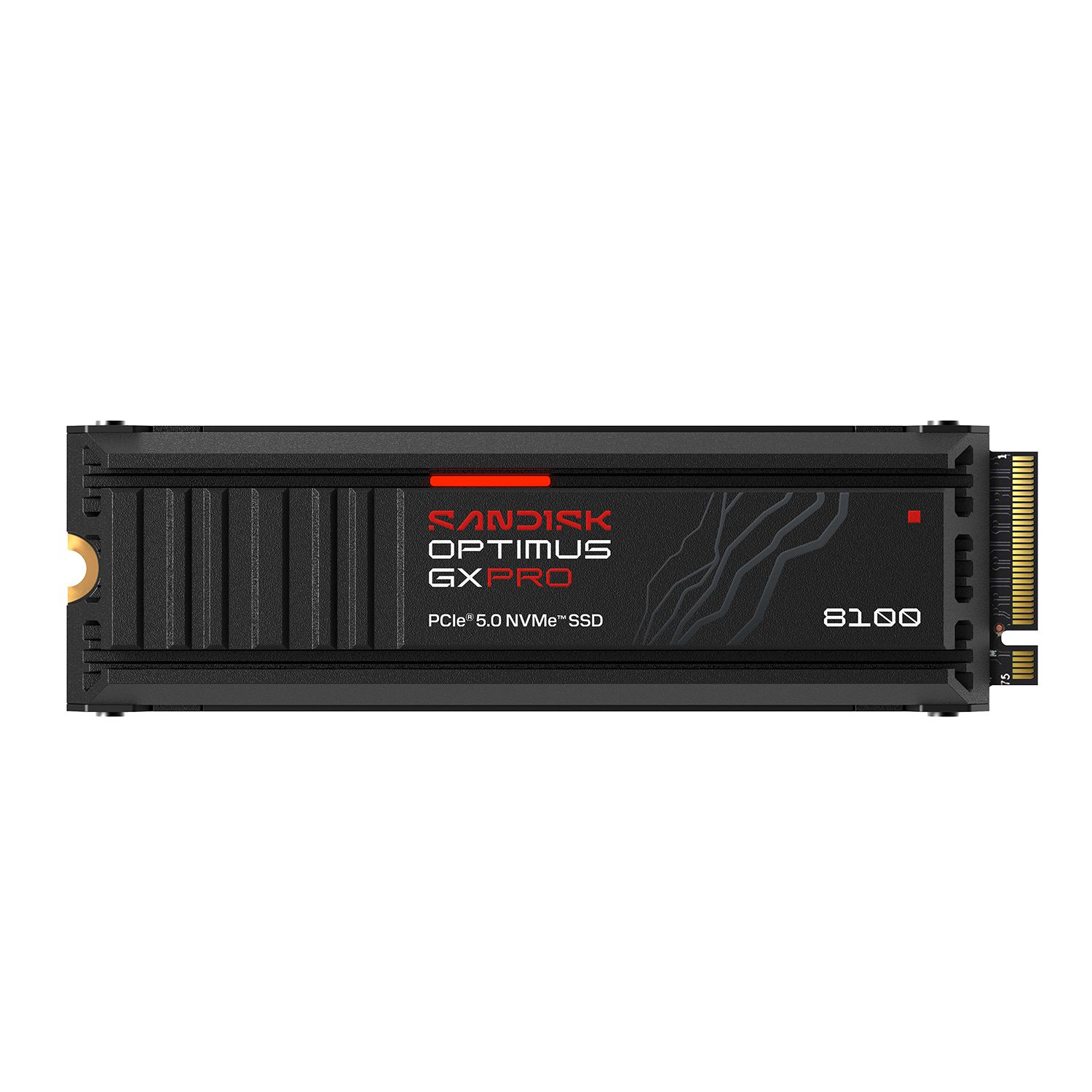 SANDISK Optimus GX PRO 8100 SSD 4TB HS