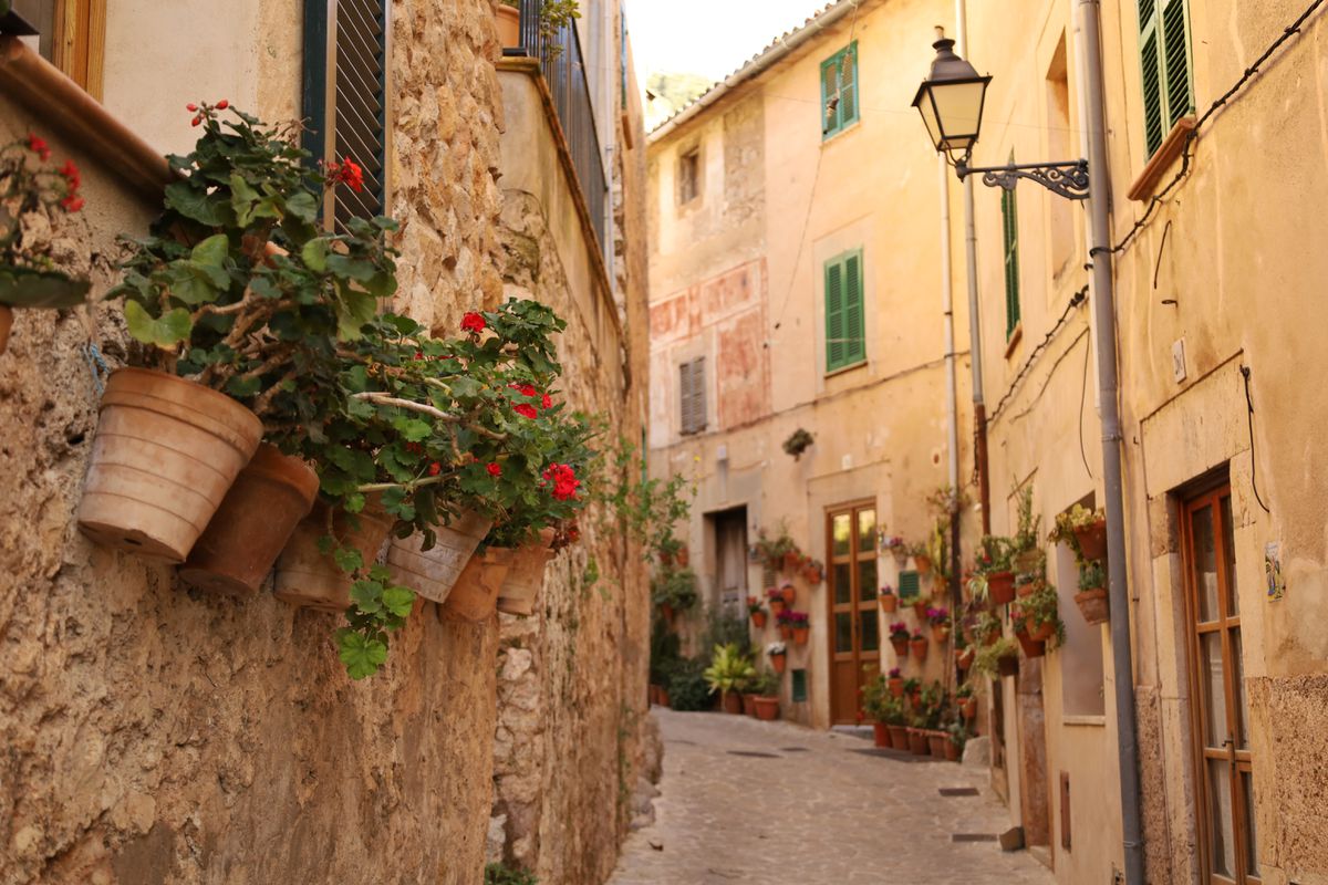 Canon RF 24-105mm f/4-7.1 IS STM