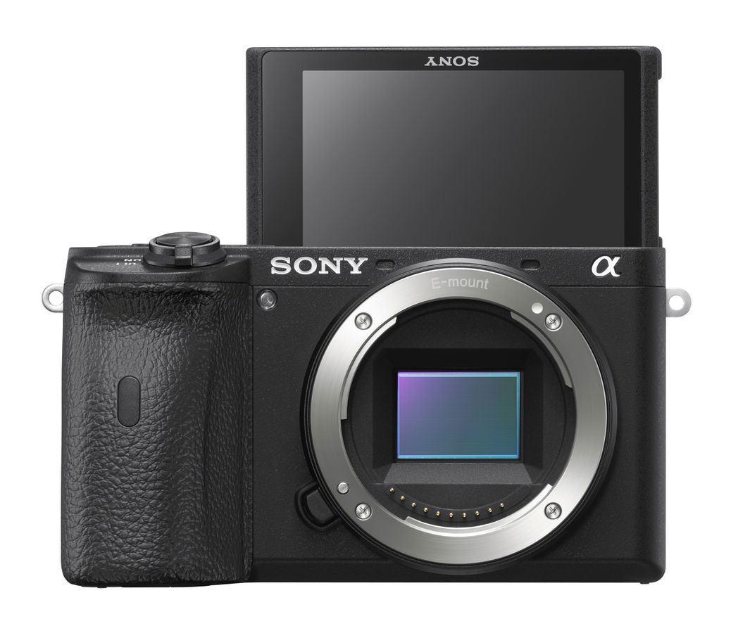 Sony Alpha 6600 Body black