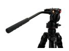 Celestron Stativ Regal Premium