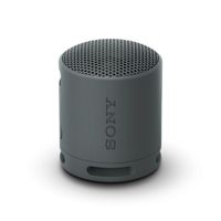 Sony SRS-XB100 Speaker Black